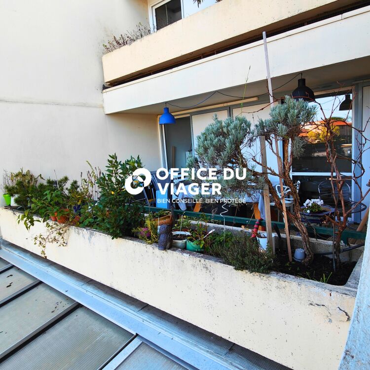 Appartement - 3 pièces - 78,93 m²