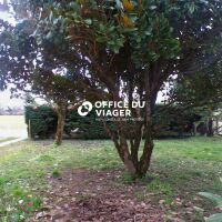 Maison - 4 pièces - 88 m²